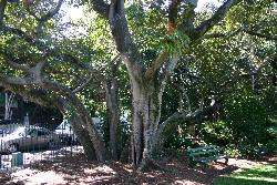 Image: Trevor James © Trevor James 